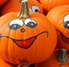 pumpkins-469641_1920